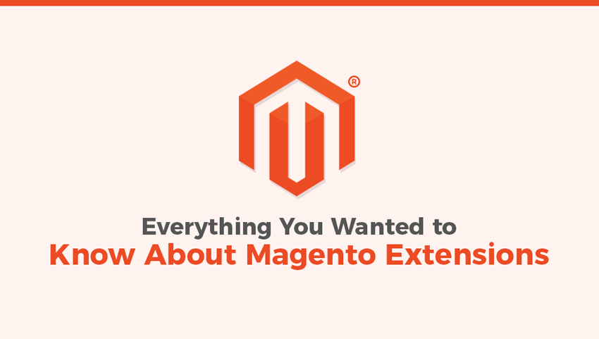 Everything You Wanted To Know About Magento Extensions [Infographic]