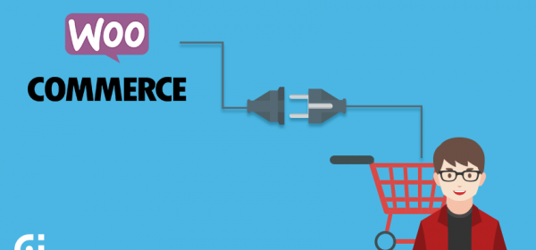 4 Best WooCommerce Plugins for Ecommerce Business Owners