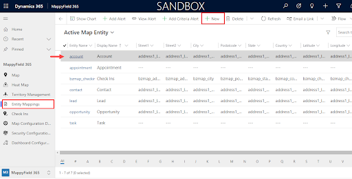 Entity Mappings