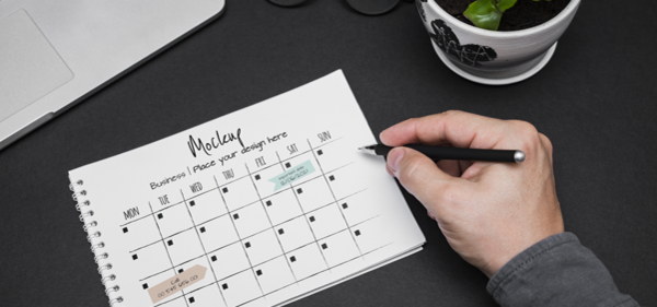 How to Add the Calendar Inside any Entity Record Details